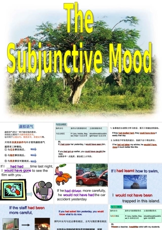 人教版高二英语虚拟语气 课件