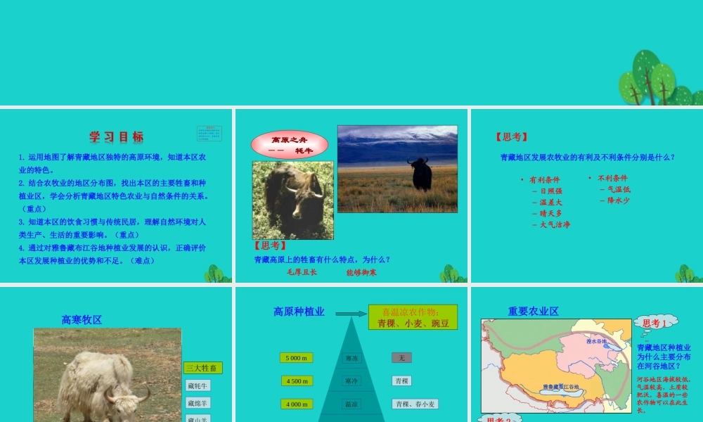 八年级地理下册 第九章 第一节 自然特征与农业(二高寒牧区和河谷农业区)课件 八年级地理下册 第九章 第一节 自然特征与农业课件+素材(新版)新人教版 八年级地理下册 第九章 第一节 自然特征与农业课件+素材(新版)新人教版