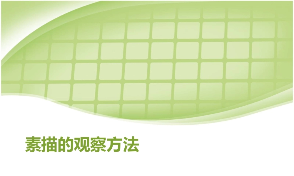 素描的观察方法