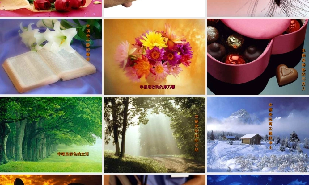 课件《幸福是什么