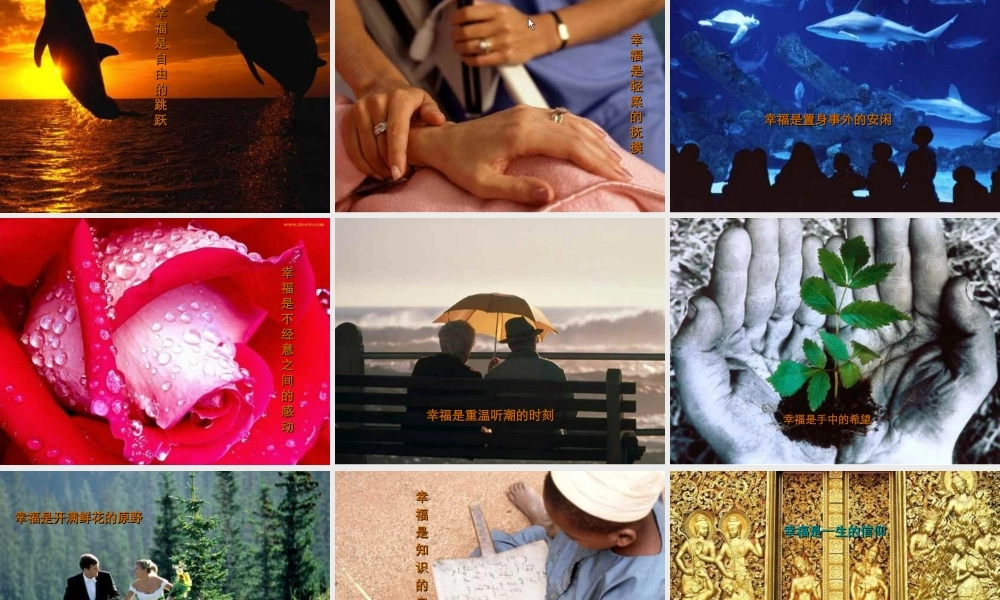 课件《幸福是什么