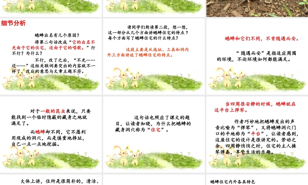 《蟋蟀的住宅》课件5