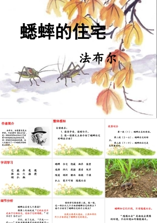 《蟋蟀的住宅》课件5