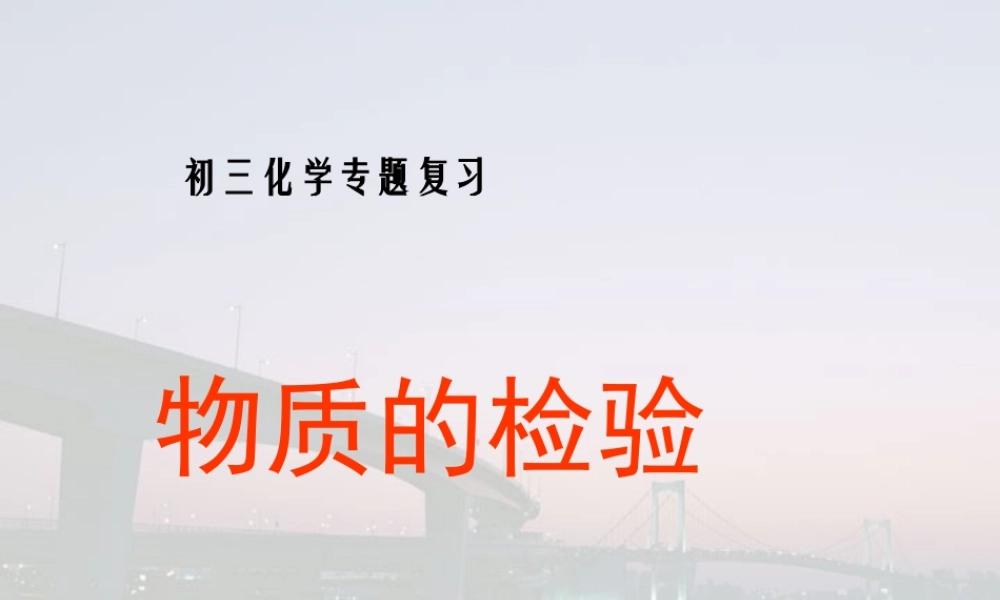 初三化学专题复习 物质的检验 人教版 课件