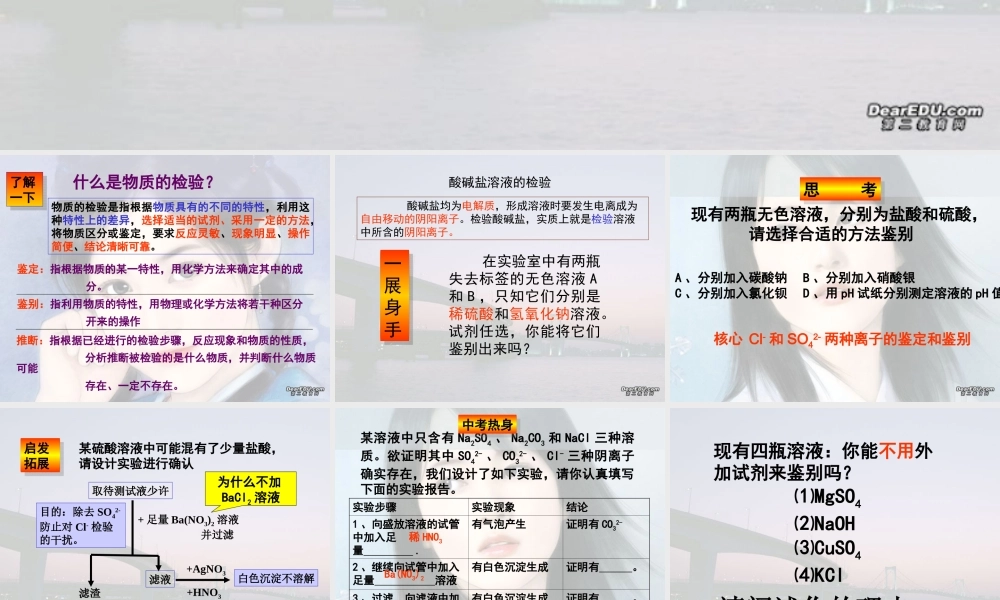 初三化学专题复习 物质的检验 人教版 课件