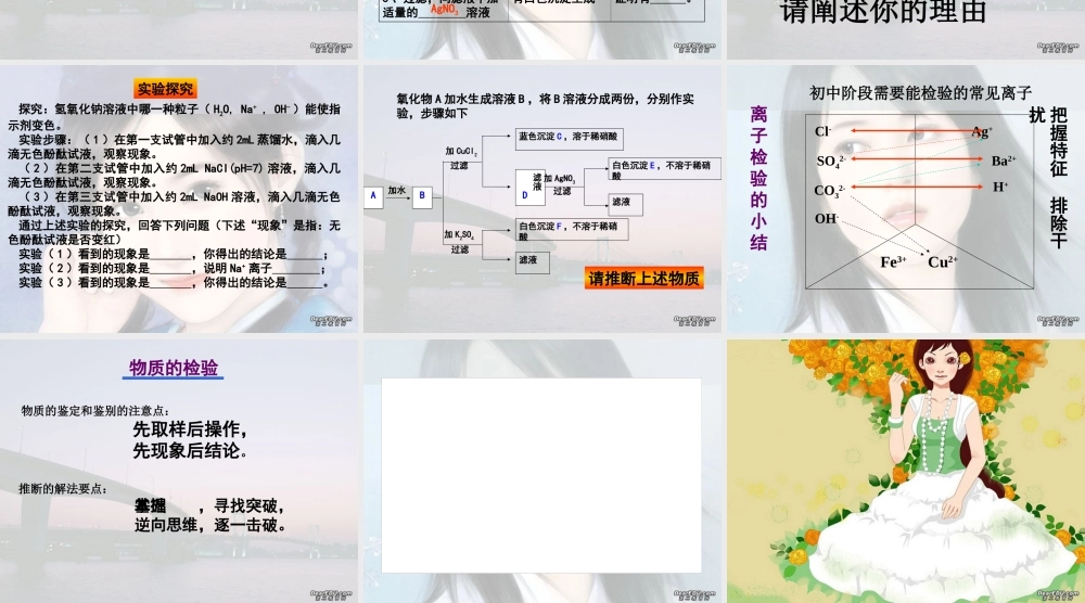 初三化学专题复习 物质的检验 人教版 课件