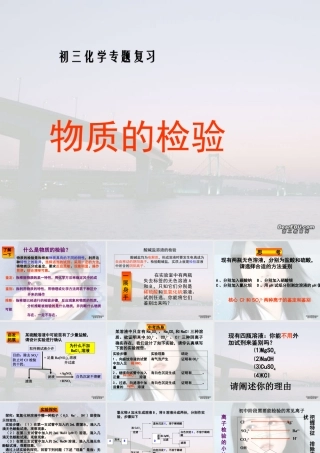 初三化学专题复习 物质的检验 人教版 课件