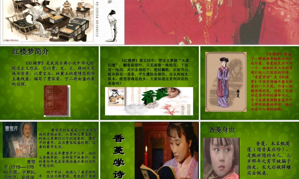 山东省无棣县第一实验学校九年级语文上册 菱学诗课件 新人教版 课件