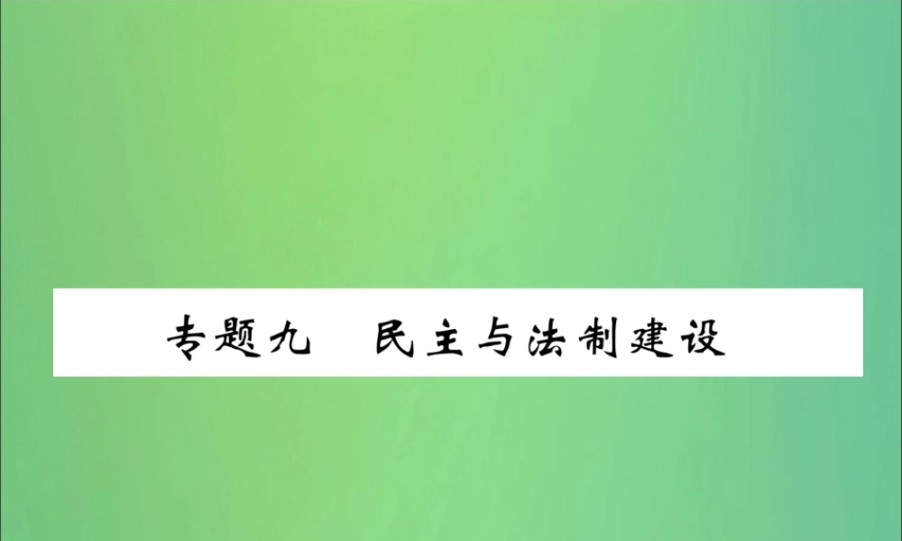 中考历史总复习 第二编 热点专题速查篇 专题9 民主与法制建设(精练)课件