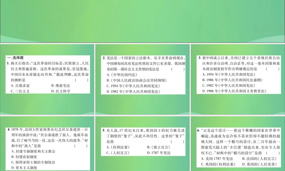 中考历史总复习 第二编 热点专题速查篇 专题9 民主与法制建设(精练)课件