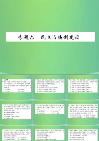 中考历史总复习 第二编 热点专题速查篇 专题9 民主与法制建设(精练)课件