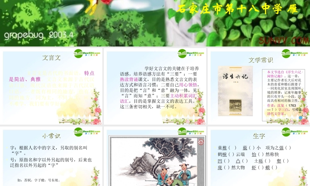 七年级语文上册 (童趣)教学课件 人教新课标版 课件