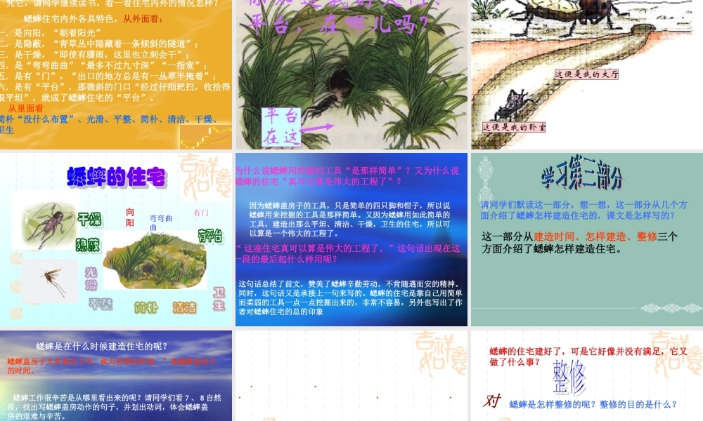 《蟋蟀的住宅》课件