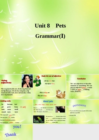 中学七年级英语下册 Unit 8 Pets Grammar 1课件 (新版)牛津版 课件
