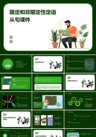 限定和非限定性定语从句课件