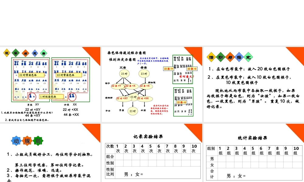 八年级生物上册 第四章第二节人类染色体与性别决定课件 济南版 课件