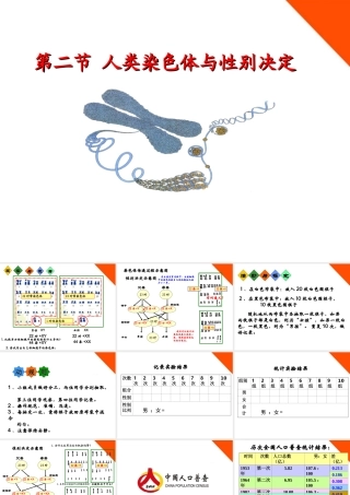 八年级生物上册 第四章第二节人类染色体与性别决定课件 济南版 课件