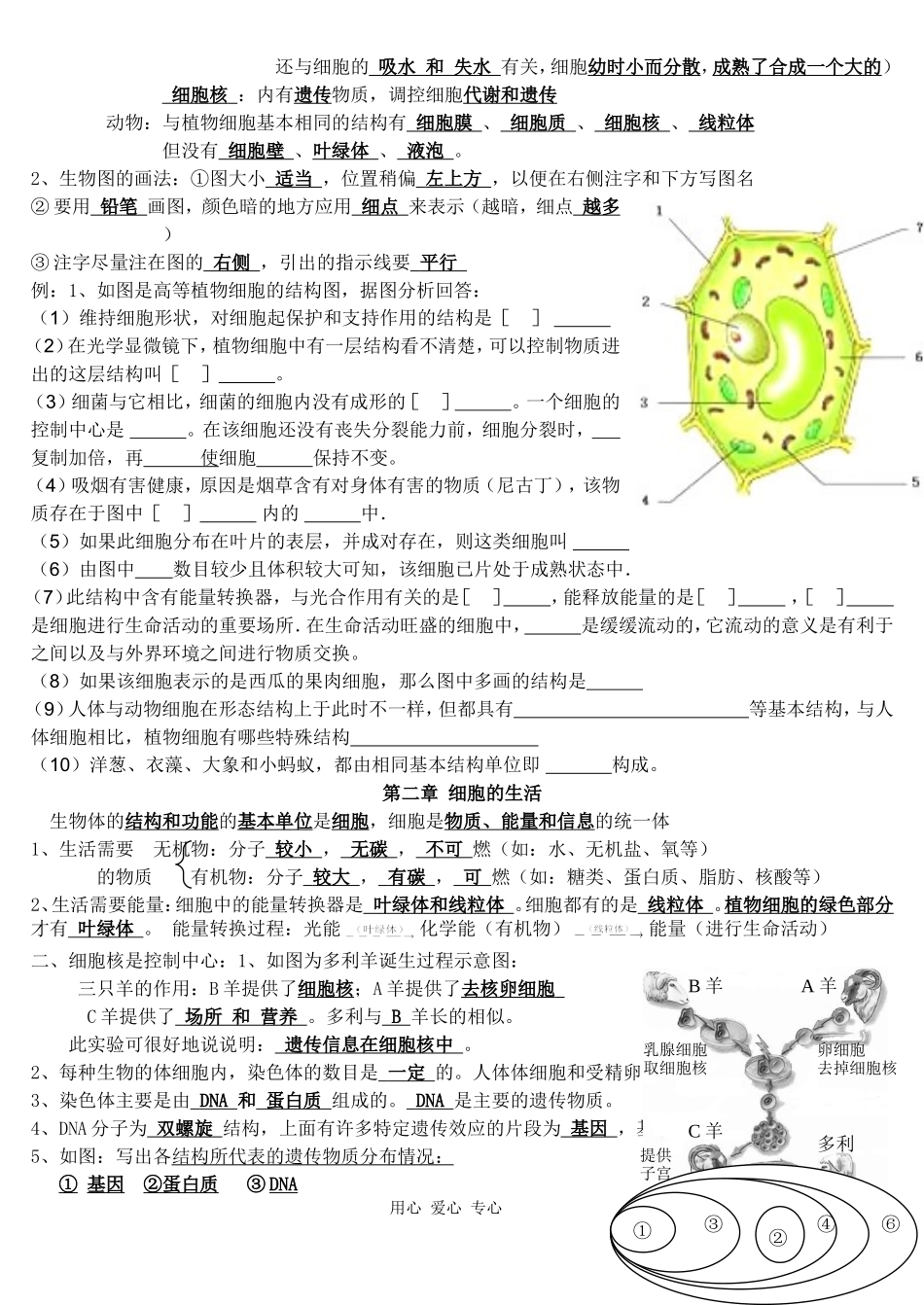 七上生物知识点文档_第3页