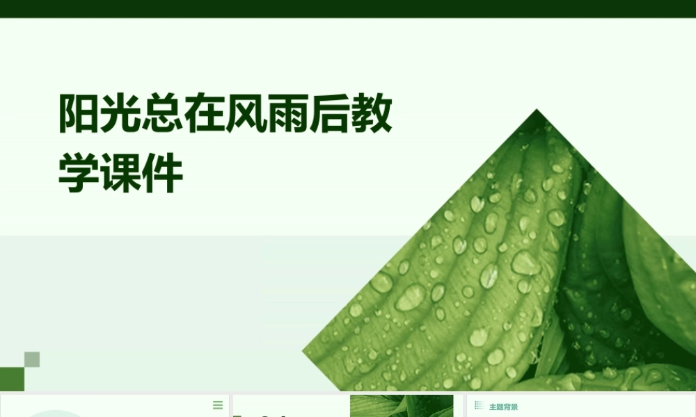 阳光总在风雨后教学课件