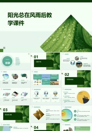 阳光总在风雨后教学课件