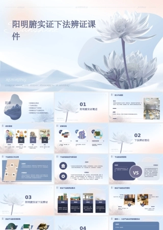 阳明腑实证下法辨证课件