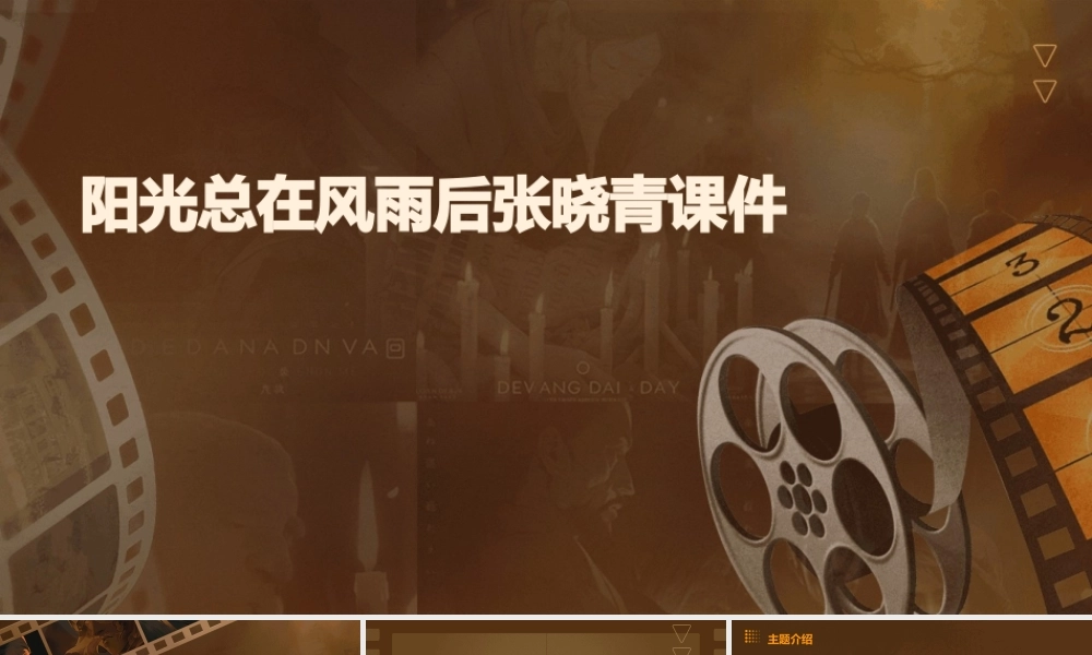 阳光总在风雨后张晓青课件