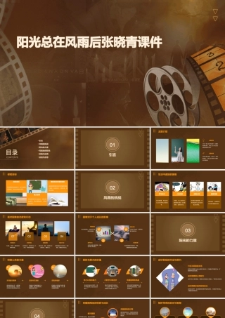 阳光总在风雨后张晓青课件