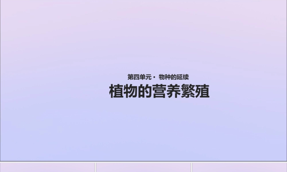 八年级生物上册 第四单元 物种的延续 第一章 绿色开花植物的一生 第七节 植物的营养繁殖课件(新版)济南版 课件