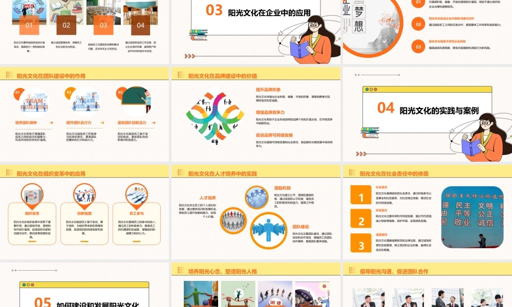 阳光文化介绍课件