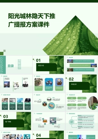 阳光城林隐天下推广提报方案课件