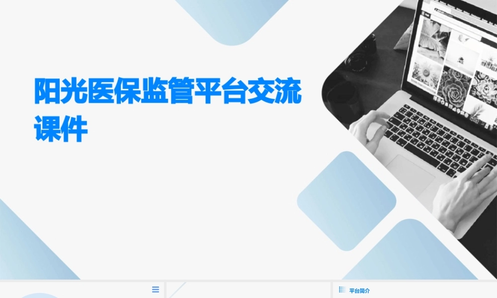 阳光医保监管平台交流课件