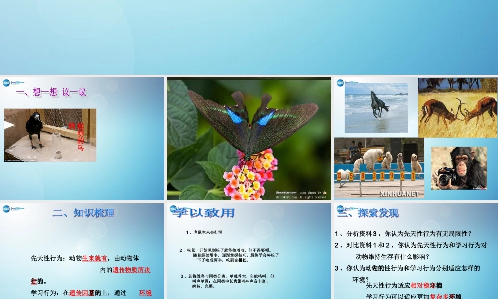 八年级生物上册 第二章 第二节 先天性行为和学习行为课件2 新人教版 课件