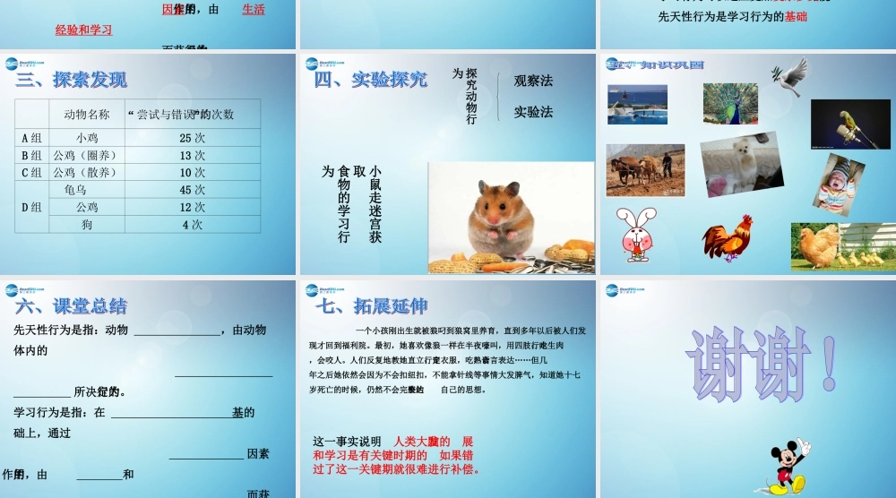 八年级生物上册 第二章 第二节 先天性行为和学习行为课件2 新人教版 课件