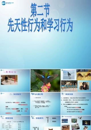 八年级生物上册 第二章 第二节 先天性行为和学习行为课件2 新人教版 课件