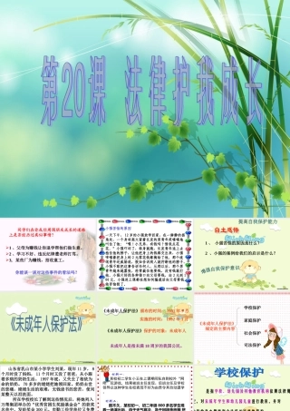 学校保护与家庭保护