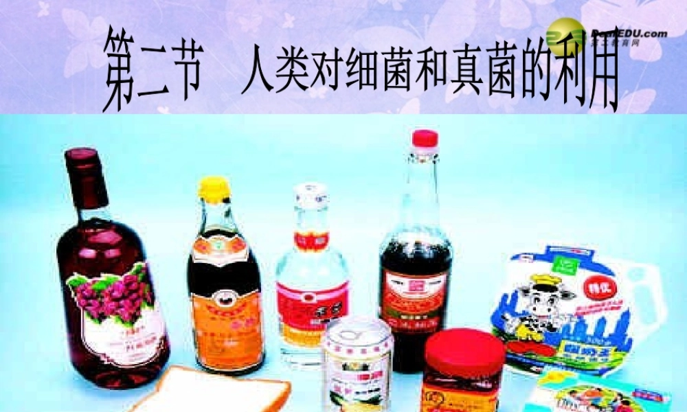 八年级生物上册 第5单元 第5章 第2节 人类对细菌和真菌的利用课件 新人教版 课件