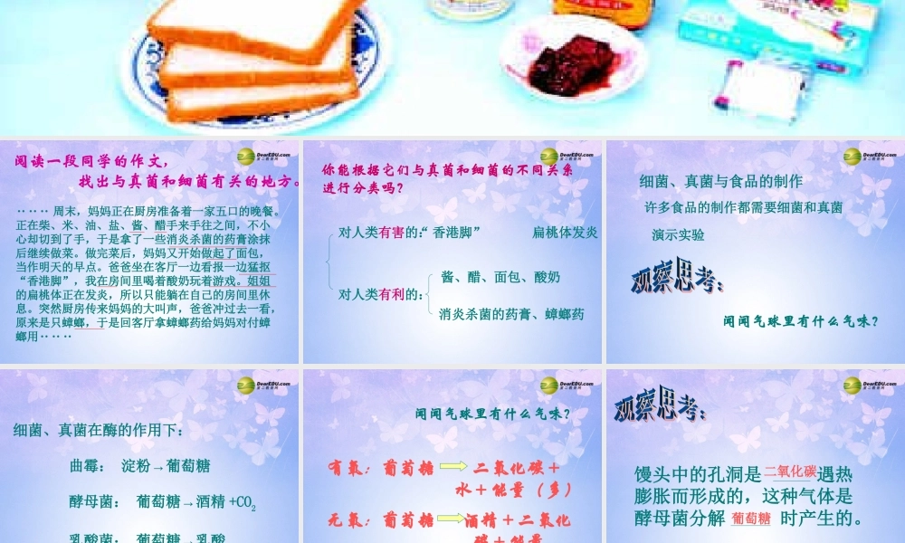 八年级生物上册 第5单元 第5章 第2节 人类对细菌和真菌的利用课件 新人教版 课件