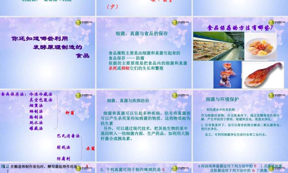 八年级生物上册 第5单元 第5章 第2节 人类对细菌和真菌的利用课件 新人教版 课件