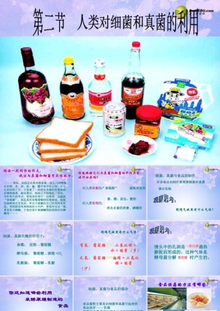 八年级生物上册 第5单元 第5章 第2节 人类对细菌和真菌的利用课件 新人教版 课件