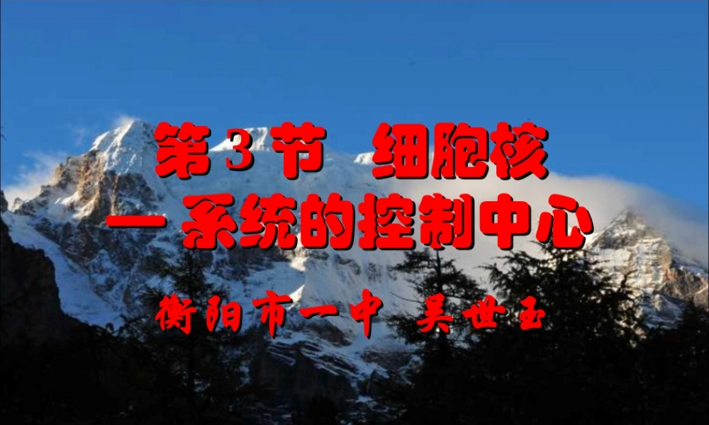 细胞核-系统的控制中心(吴世玉)
