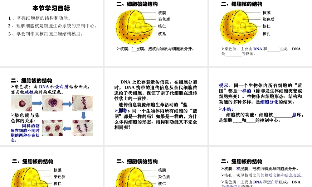 细胞核-系统的控制中心(吴世玉)