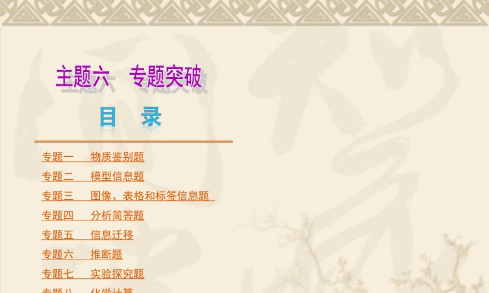 2013年中考人教化学专题突破