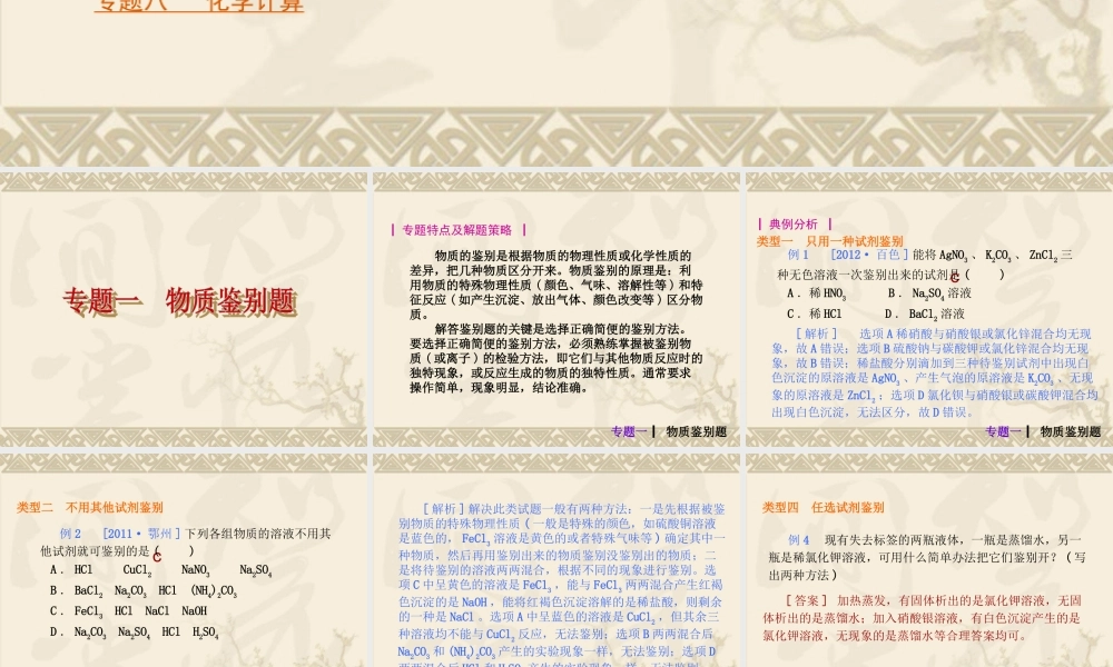 2013年中考人教化学专题突破