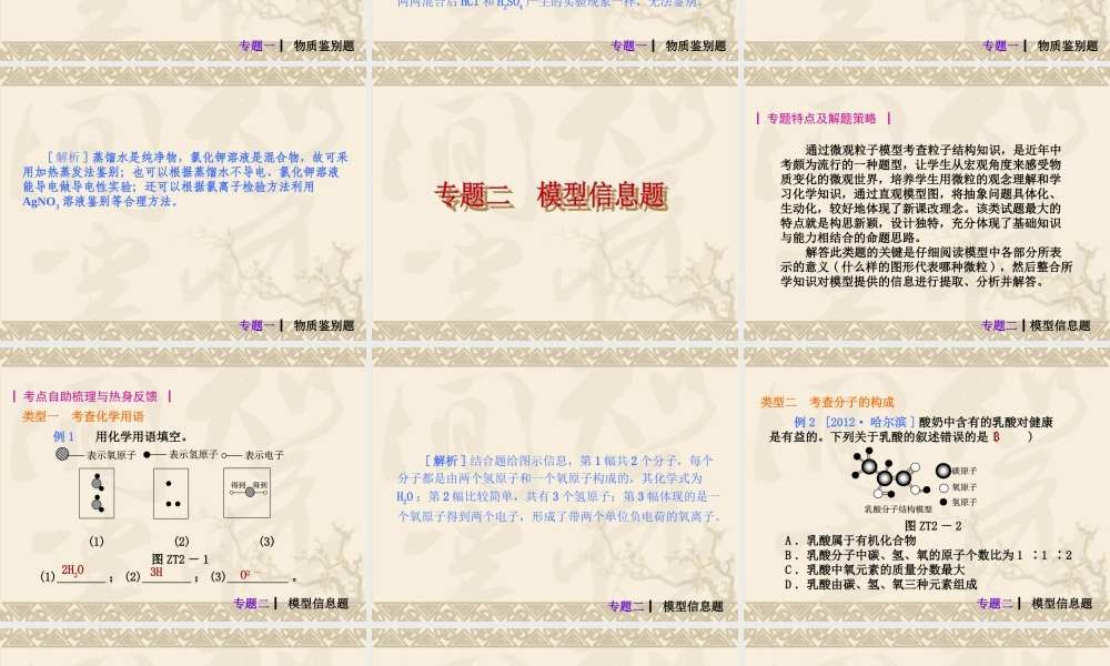 2013年中考人教化学专题突破