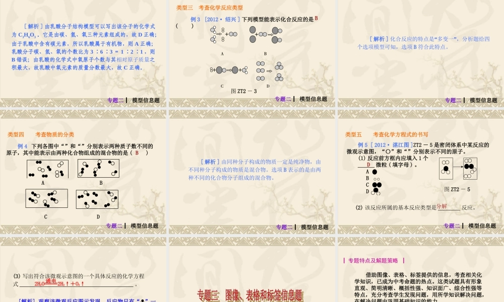 2013年中考人教化学专题突破