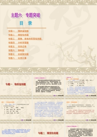 2013年中考人教化学专题突破