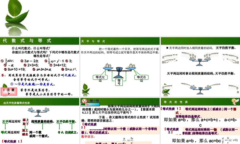 华师大等式的性质与方程的简单变形一二