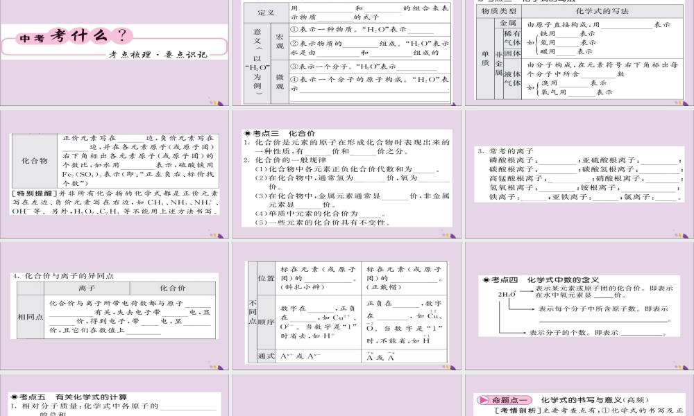 中考化学总复习 第一轮复习 系统梳理 夯基固本 第8讲 化学式和化学价课件