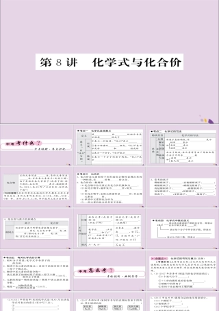 中考化学总复习 第一轮复习 系统梳理 夯基固本 第8讲 化学式和化学价课件