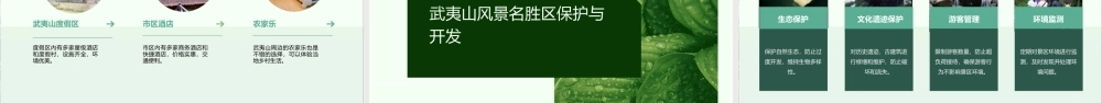 阮小惠武夷山风景名胜区素材课件